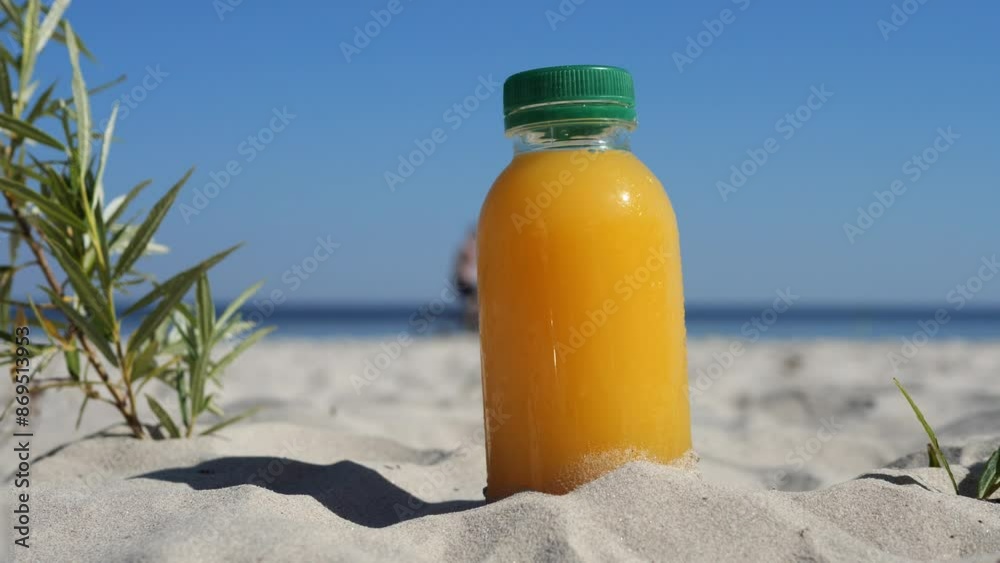 On the seashore, a plastic bottle with orange juice and a green lid stands in the sand next to a small green bush. Orange juice looks refreshing against the beach setting, inviting a tropical vibe.