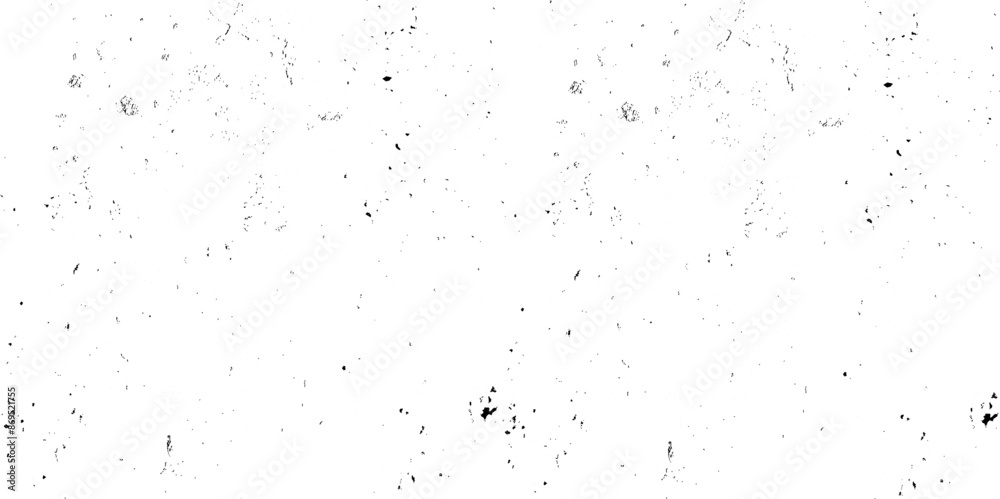 Abstract vector noise. Small particles of debris and dust. Black and white grunge background. Abstract texture monochrome Abstract vector noise. Small particles of debris and dust. Black and white grunge background. Abstract texture monochrome
