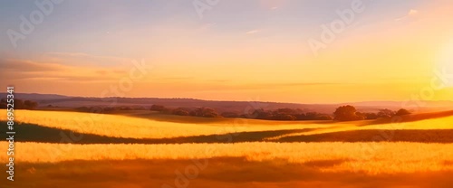 Wallpaper Mural Golden field bathed in the warm glow of the setting sun landscape 4k animation Torontodigital.ca