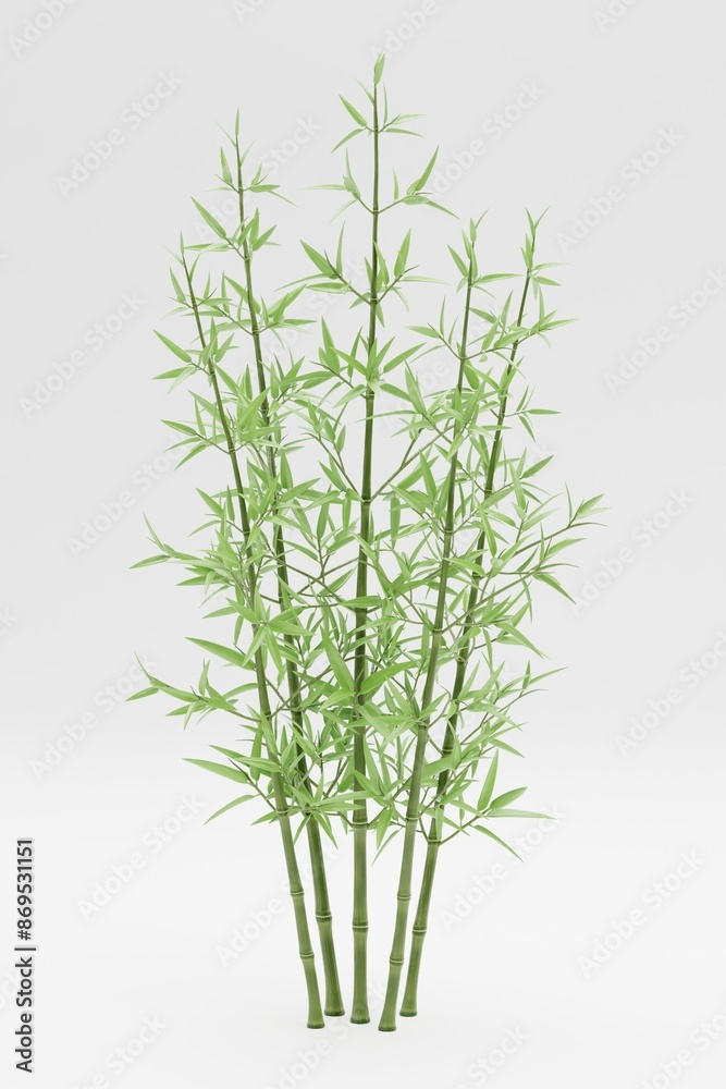 Fototapeta premium Realistic 3D Render of Bamboo Plant