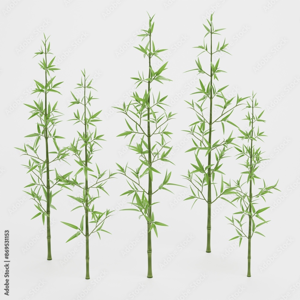 Obraz premium Realistic 3D Render of Bamboo Plant
