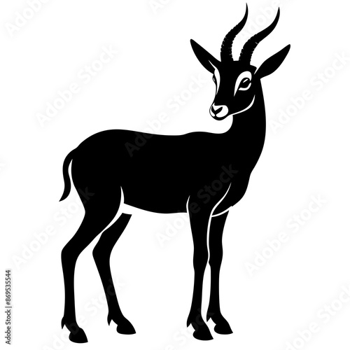 Chamois vector illustration