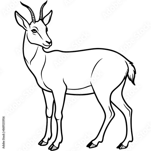 Chamois vector illustration