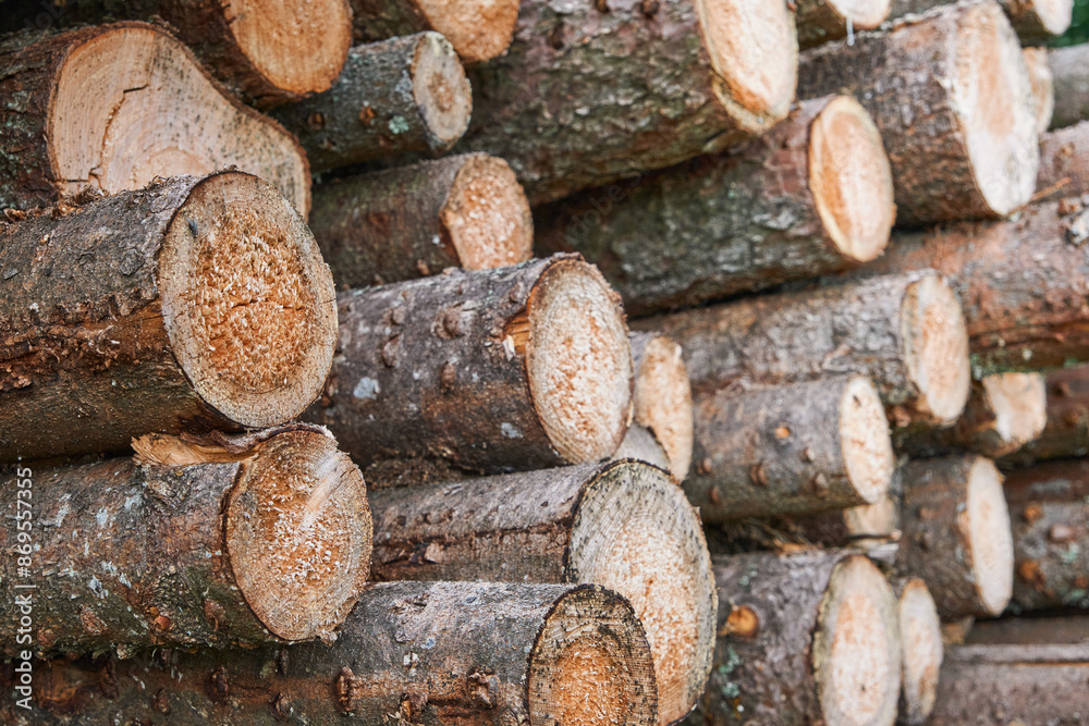 Wood logs background. Natural wooden background. Rows of piled of logs at lumber mill or in forest. Topic of protecting forests from deforestation and nature conservation. Mock up or wallpaper. Wood logs background. Natural wooden background. Rows of piled of logs at lumber mill or in forest. Topic of protecting forests from deforestation and nature conservation. Mock up or wallpaper.