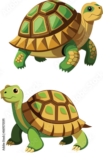 Two cartoon tortoises walking on white background