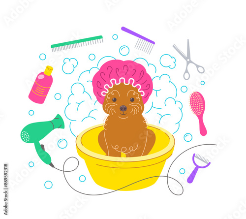 Cute little toy poodle dog in shower cap taking a bath in plastic bowl with soap foam, bubbles and grooming tools, such as hair dryer, scissors, shampoo, brushes. Pet grooming hand drawn illustration