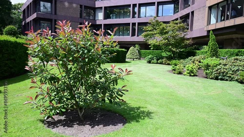 Green park and garden in front of a brick and glass, the International Court of Justice building under a warm and sunny summer weather