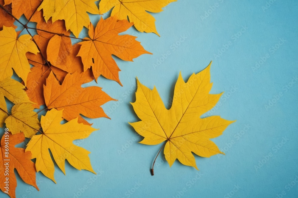 Summer Background Pastel Yellow Blue Shadow Texture Leaf Summer Autumn Wall Light Abstract Floor Wall Orange Brown Tree blue pastel Gradient Two Tone Bright Color Paper Gradient Two tone Overlay. Summer Background Pastel Yellow Blue Shadow Texture Leaf Summer Autumn Wall Light Abstract Floor Wall Orange Brown Tree blue pastel Gradient Two Tone Bright Color Paper Gradient Two tone Overlay.