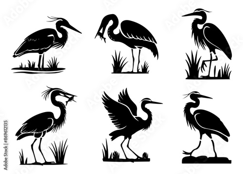 Silhouette great egrets, swans, and herons doing various activities of, fishing, walking, eating, standing, and flying. Graphic elements, for t-shirts, coloring pages, banners, and illustrations.