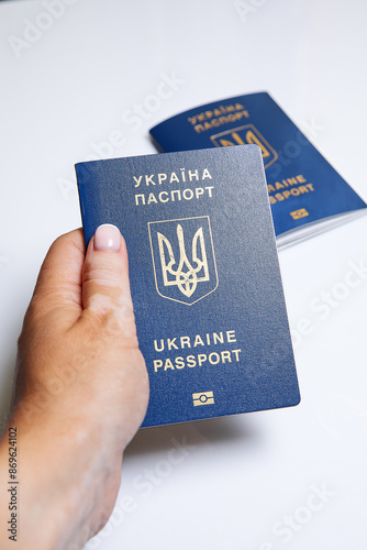 Ukrainian, adaptation, application, assistance, asylum, biometrics, border, challenges
