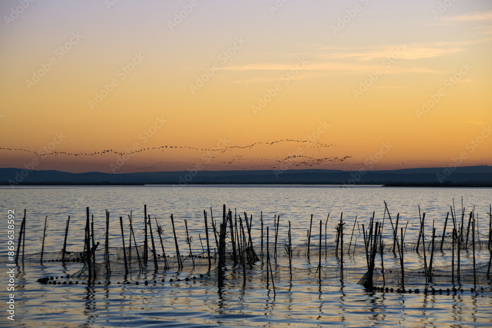 Natural park of la Albufera at sunset in Valencia. Spain Natural park of la Albufera at sunset in Valencia. Spain