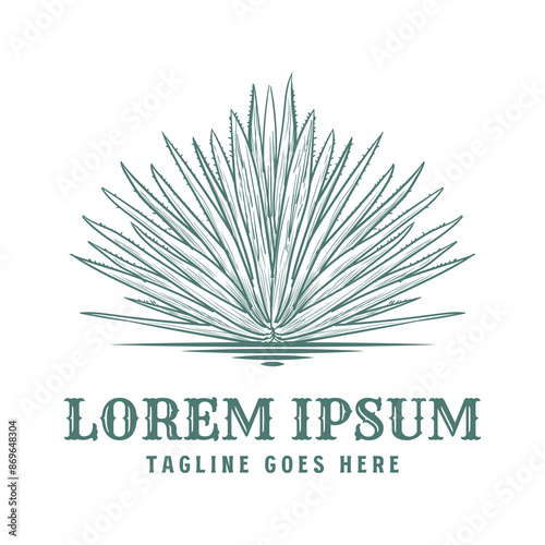 Vintage Retro Agave Plant for Mexican Drink Tequila with Hand Drawn Sketch Engraved Style Vector