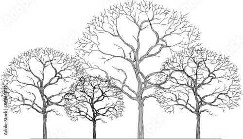 Vector silhouette illustration sketch detailed design of collection of tree plants with lots of leaves and twigs in the forest 