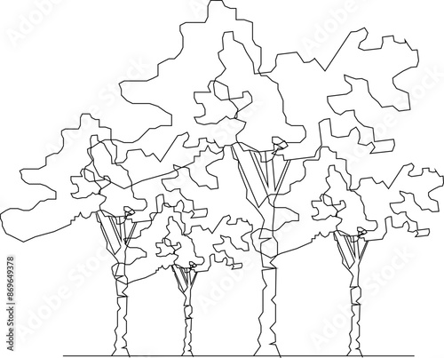 Wallpaper Mural Vector silhouette illustration sketch, detailed design of a collection of tree plants in the forest  Torontodigital.ca