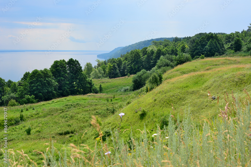 Obraz premium a picture of a forest with a lake in the background 
