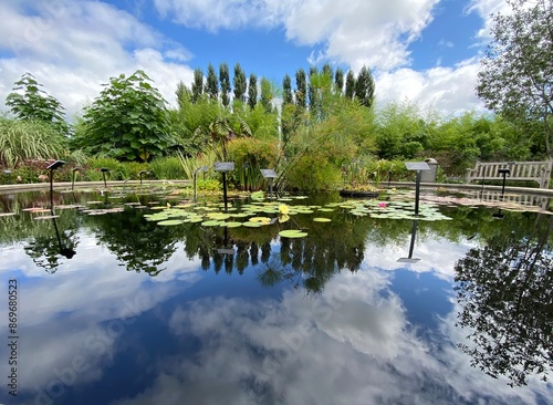 Photography Natural Symmetry - Penn State Arboretum