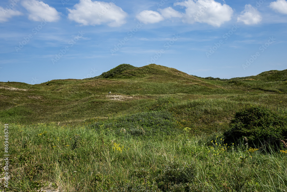 Fototapeta premium Picturesque green meadows and dunes on the island of Texel, in the north of the Netherlands.