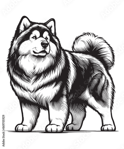 Alaskan Malamute Coloring page