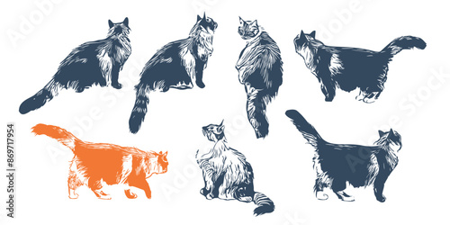 A set of monochrome cats.  Vector set in retro style.