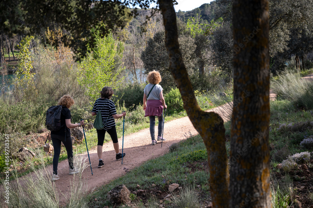 Fototapeta premium Three Middle-aged Sisters Hiking on a Forest Trail