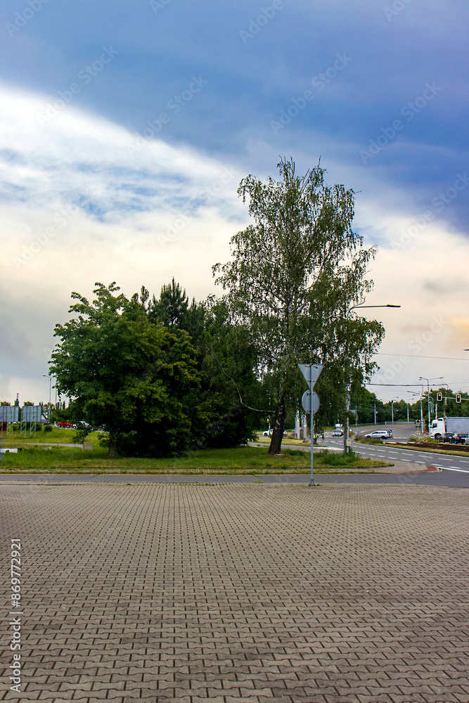 Obraz premium Tree and bushes in the city. City environment. In the background, an intersection with traffic lights and passing cars.
