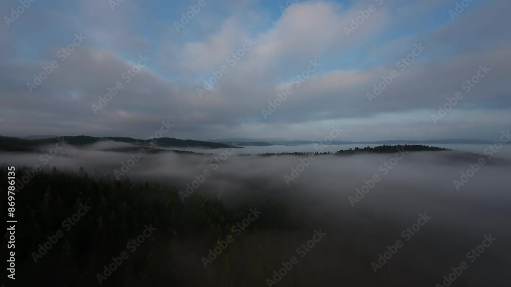 aerial fpv drone flying in the misty forest with morning fog on sunrise aerial fpv drone flying in the misty forest with morning fog on sunrise