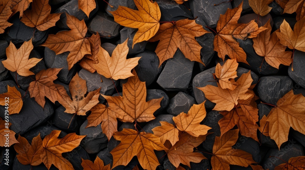 Autumn scene with maple leaves covering the forest floor, dark stones peeking through, creating beautiful natural patterns and textures Autumn scene with maple leaves covering the forest floor, dark stones peeking through, creating beautiful natural patterns and textures