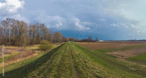 Tableau sur toile An embankment separating a riparian zone and farmland nearby the Vistula River, Poland