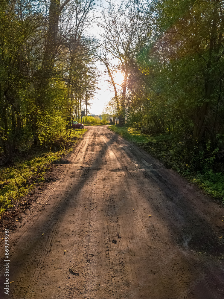 Naklejka premium The sun setting over a dirt road.