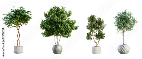 Set of various trees in terracotta pots isolated on transparent background. 3D render.