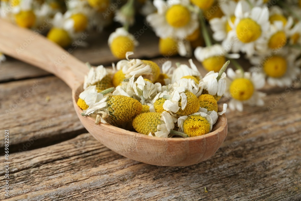 Chamomile flowers in spoon on wooden table, closeup Chamomile flowers in spoon on wooden table, closeup