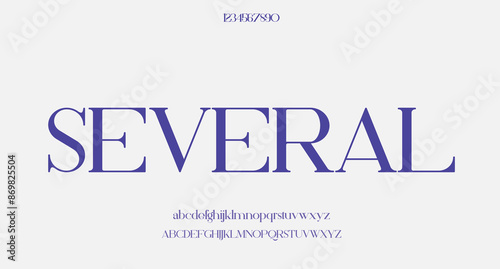 Vector elegant wedding alphabet letter font typography luxury classic serif fonts decorative vintag 