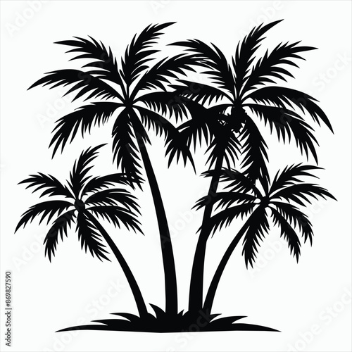 Tropical Reflections Palm Silhouette Palm Tree