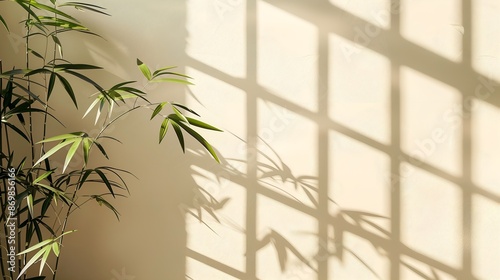 bamboo in a room against a beige wall with shadow, large space for copy