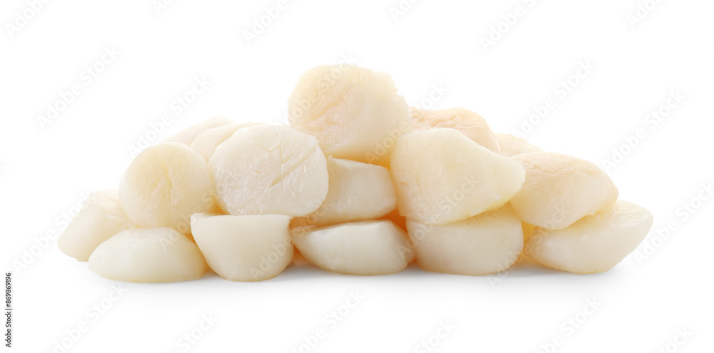 Pile of fresh raw scallops isolated on white Pile of fresh raw scallops isolated on white