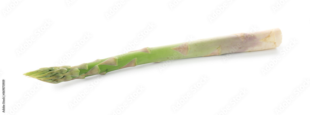 Fresh green asparagus stem isolated on white Fresh green asparagus stem isolated on white