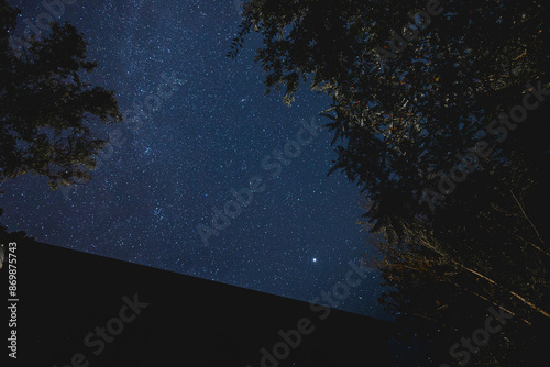 Stars over Wisconsin Forest Dark Sky Driftless Region