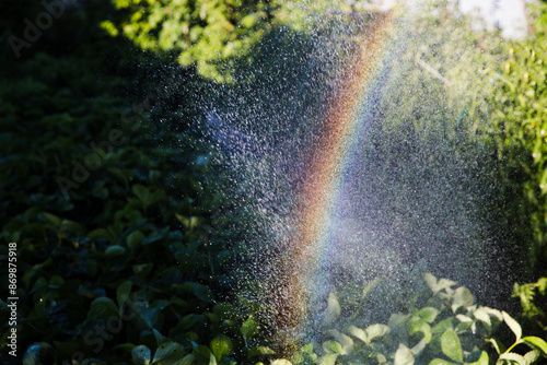 Schilderij op canvas rainbow of garden spray. copy space