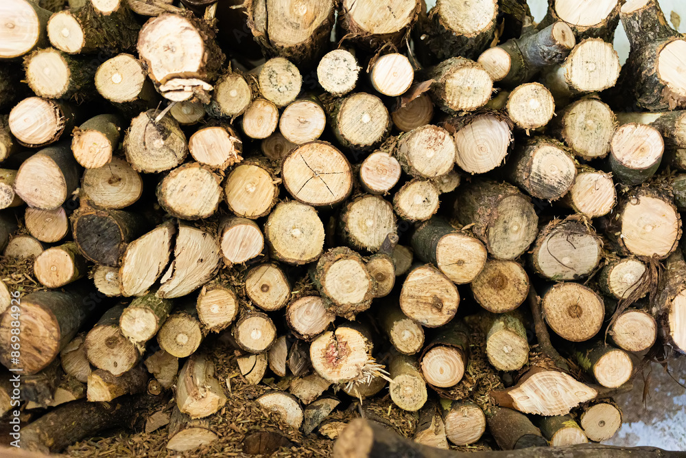 Neatly stacked pile of firewood, featuring a variety of chopped logs with visible tree rings and wood textures Neatly stacked pile of firewood, featuring a variety of chopped logs with visible tree rings and wood textures