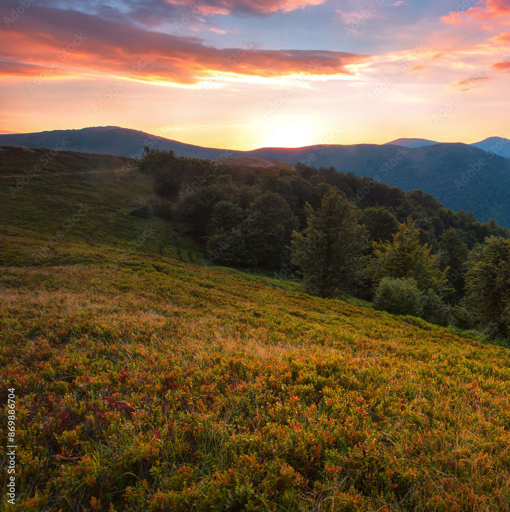 summer scenery, scenic morning view in Carpathian mountains, Krasna range near Mizgirja town, Ukraine, Europe...exclusive - this image is sold only on Adobe stock summer scenery, scenic morning view in Carpathian mountains, Krasna range near Mizgirja town, Ukraine, Europe...exclusive - this image is sold only on Adobe stock