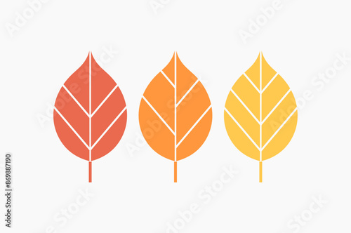 Autumn leaves colors. Vector illustration.