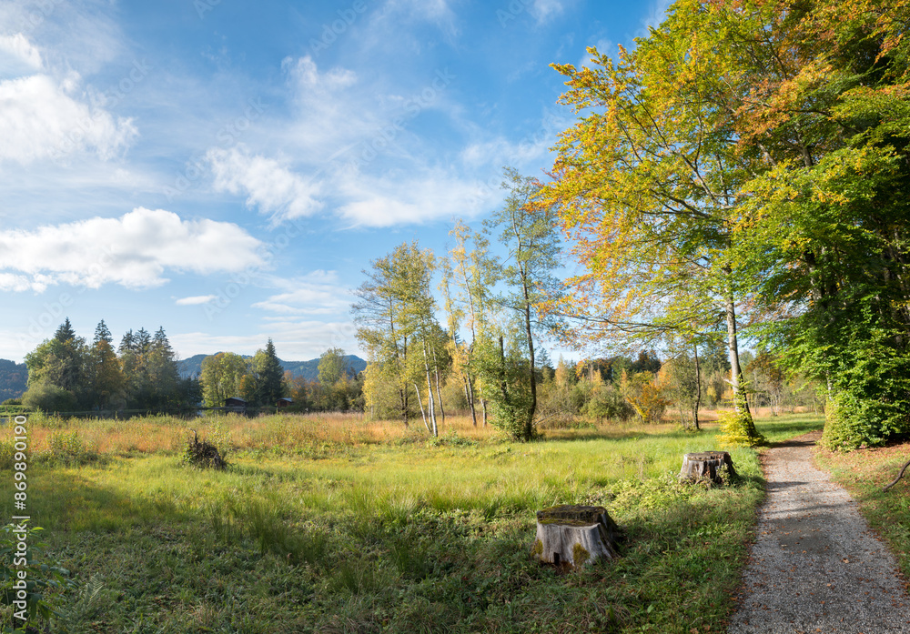 Obraz premium hiking way around Moorweiher Oberstdorf, pictorial autumnal landscape in allgau