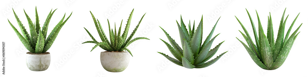 set of a stack of fresh aloe Vera slices, vibrant green, clear layers on a transparent background