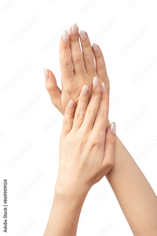 Woman hands isolated on a white background. Woman hands isolated on a white background.