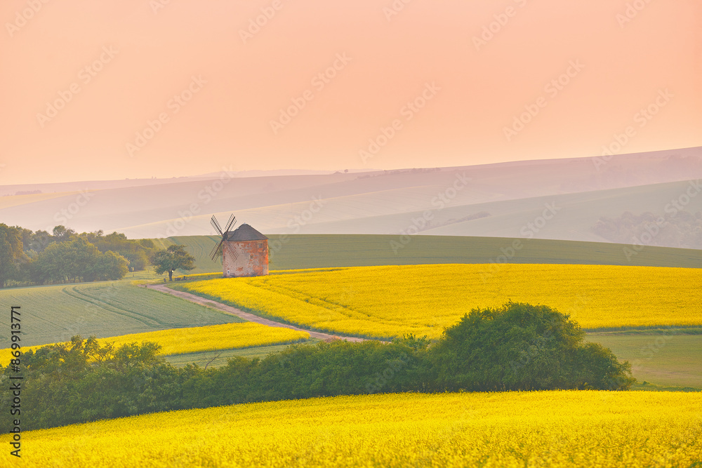 Old windmill in blooming Spring landscape with rolling hills. Yellow colza canola fields in sunset light. Kunkovice, Moravia, Czech