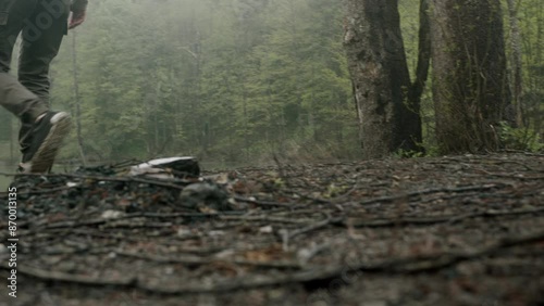 Wallpaper Mural Hiker man goes to near a lake in the woods and picks up a stone. Traveler man explores the forest alone Torontodigital.ca