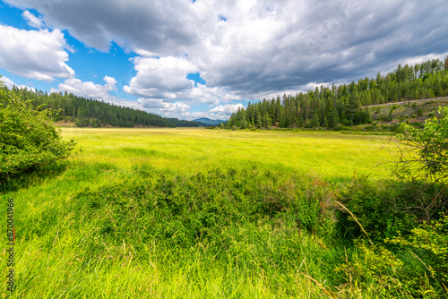 Summer view of the historic Cougar Gulch valley wetland region, one of the earliest known settler areas in the rural mountains of Coeur d'Alene, Idaho.