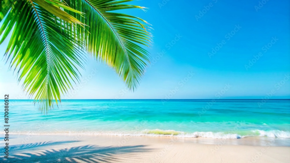 palm at the blurred empty sand beach in summertime, banner concept for beach vacation, idyllic resort with beautiful sea view, advertising space palm at the blurred empty sand beach in summertime, banner concept for beach vacation, idyllic resort with beautiful sea view, advertising space