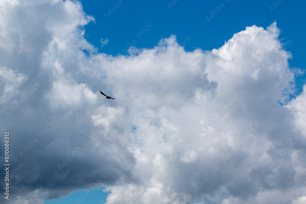 clouds in the blue sky clouds in the blue sky