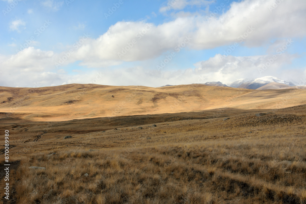 An extensive network of field roads winds through a gently sloping hilly steppe with rows of yellowed grass on an autumn sunny day. An extensive network of field roads winds through a gently sloping hilly steppe with rows of yellowed grass on an autumn sunny day.